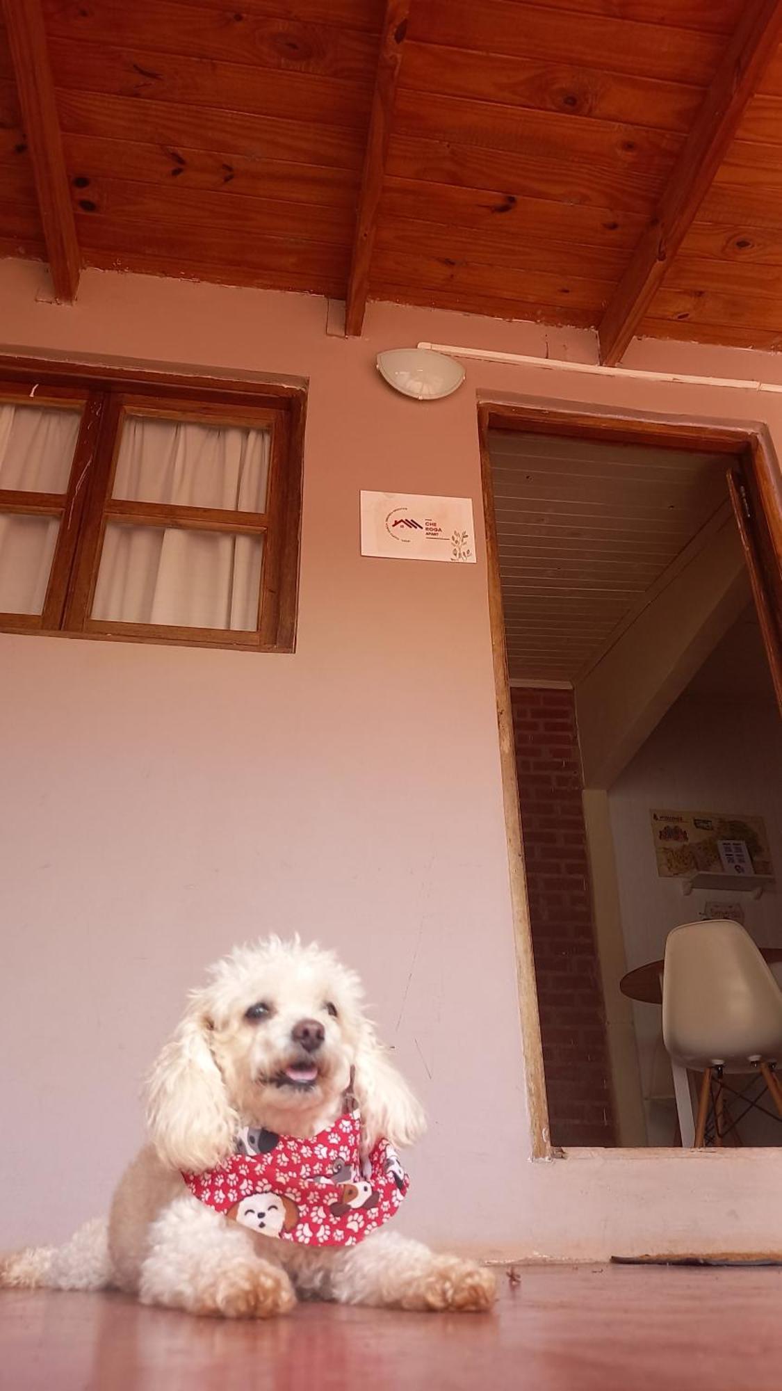 Appartement Oga'I Alquiler Turistico à Puerto Iguazú Extérieur photo